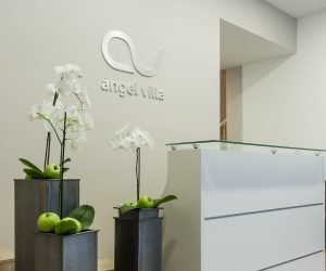 Recepción centro Ángel Villa